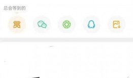 张小寒爆料视频,娱乐圈背后的惊人真相