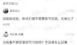 娱乐吃瓜君视频论文,揭秘网络娱乐现象背后的真相与影响